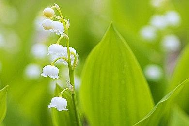 《你好邻居2》明年4月推出beta版 仅供预购玩家参与